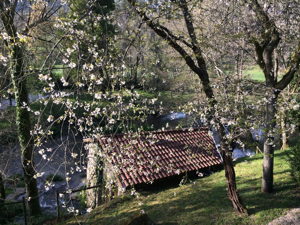 Quinta Do Rio Homem Caldelas Bagian luar foto