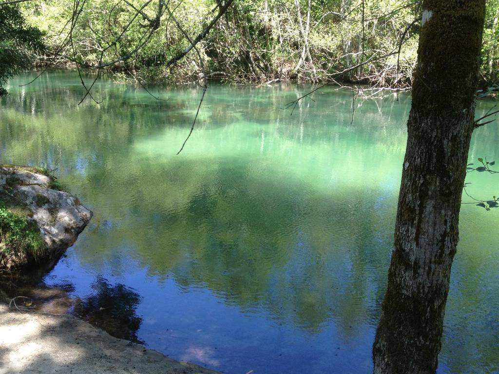 Quinta Do Rio Homem Caldelas Bagian luar foto