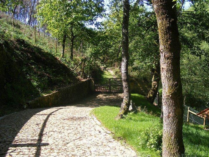 Quinta Do Rio Homem Caldelas Bagian luar foto