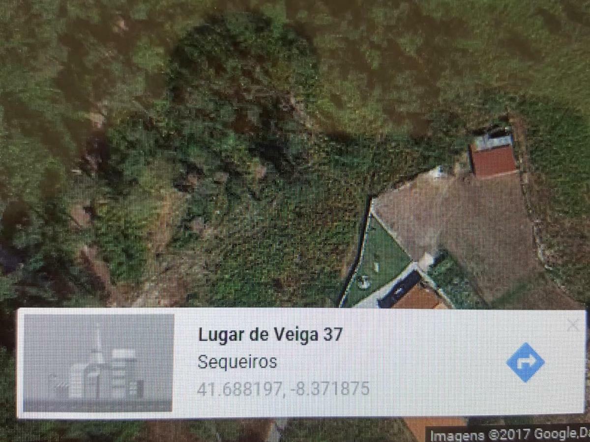 Quinta Do Rio Homem Caldelas Bagian luar foto